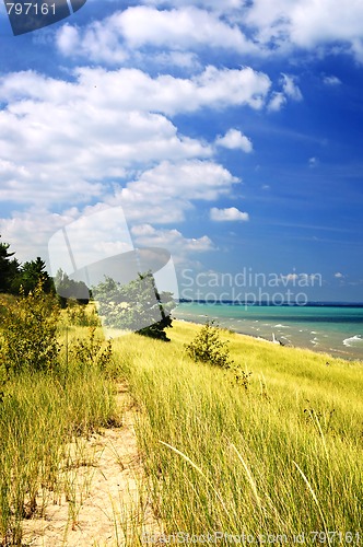 Image of Sand dunes at beach