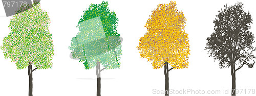 Image of Tree at four seasons