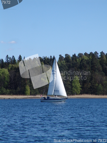 Image of Sailing