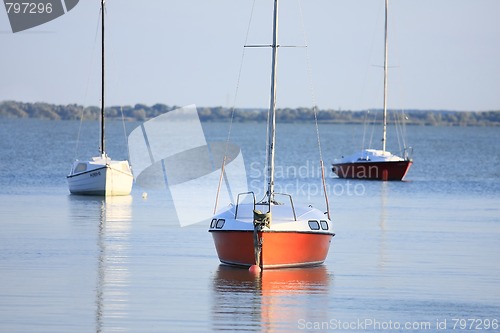 Image of Sailboats