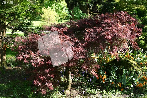 Image of part of the garden