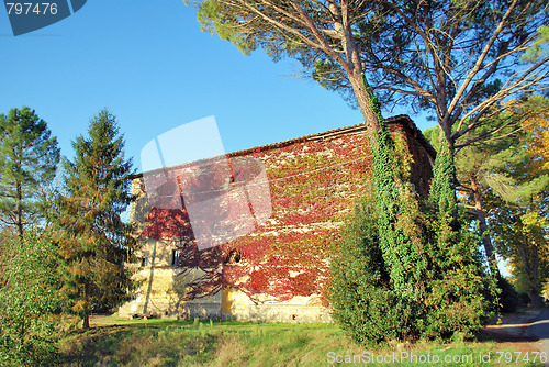 Image of Tuscan landscape