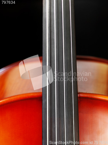 Image of Cello closeup