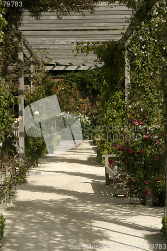 Image of Dappled Walk