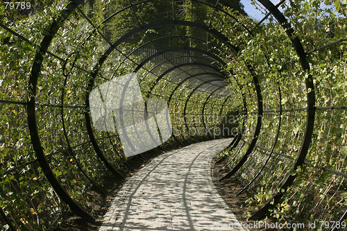 Image of Decorative Walkway