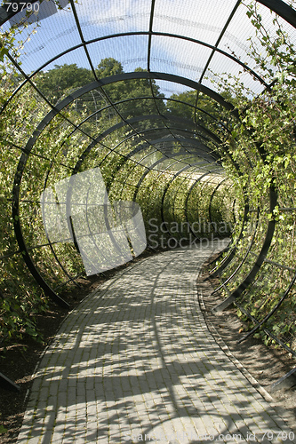 Image of Decorative Walkway