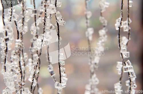 Image of Winter background