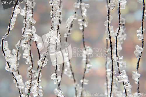 Image of Winter background