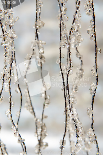 Image of Winter background