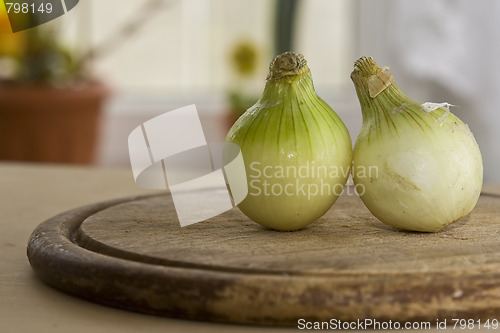 Image of Vegetables in kitchen