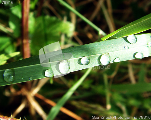 Image of waterdroplets