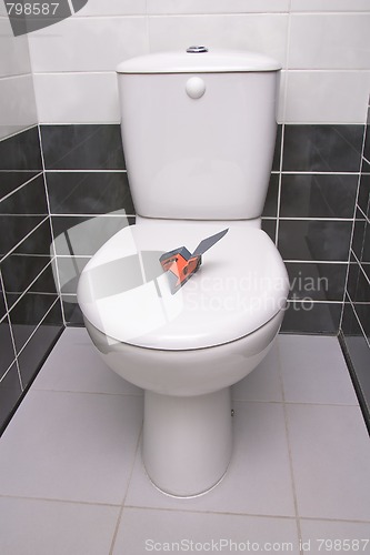 Image of Plane in the toilet