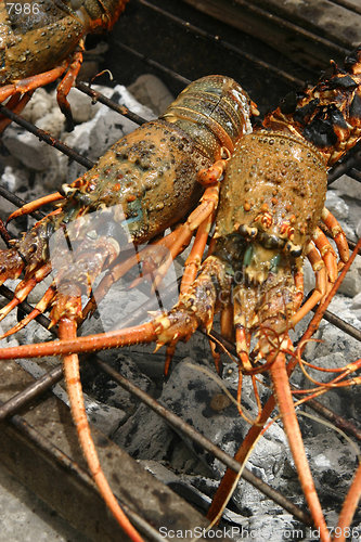 Image of Lobster grill