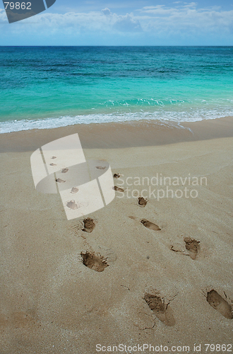 Image of Footprints on a tropical beach.