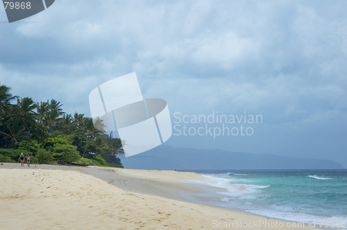 Image of Hawaiian Beach