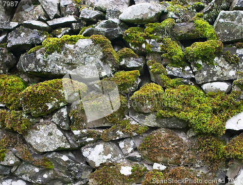 Image of Mossy wall