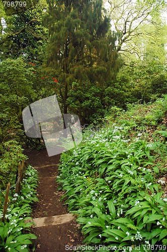 Image of cardiff park