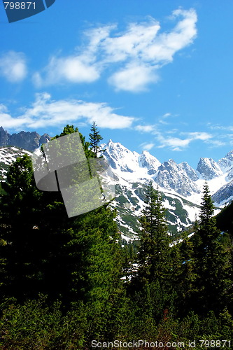 Image of tatry