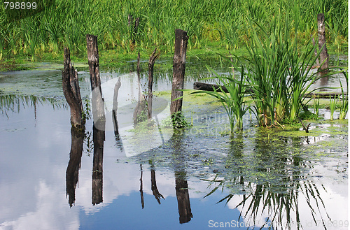 Image of lake