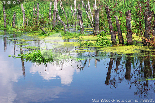 Image of lake