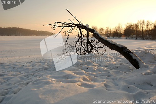 Image of iced lake