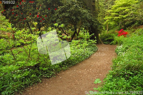 Image of path in park