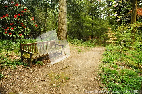 Image of bench in park