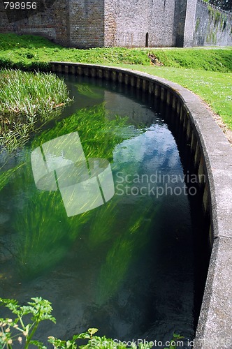 Image of bute park