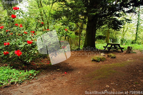 Image of path in park