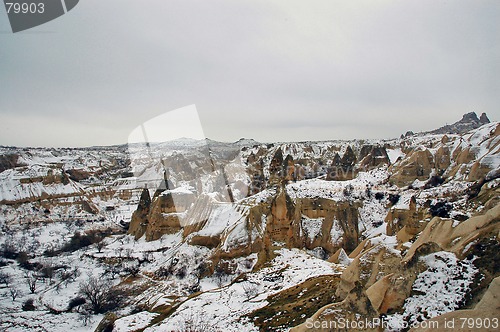 Image of Valley of the Birds