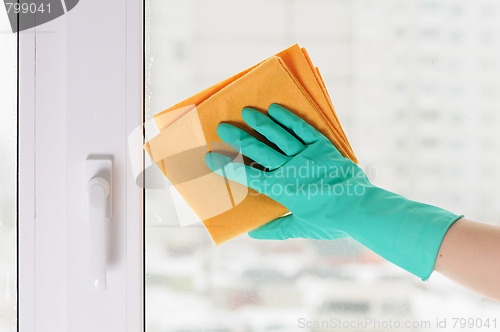 Image of hand in a green glove