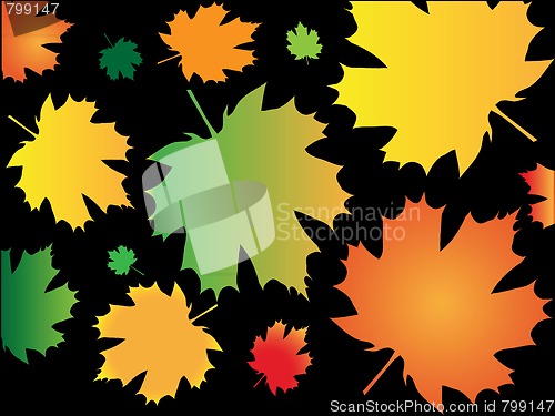 Image of Background from autumn leaves