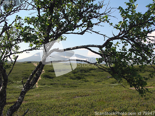 Image of Mountain hike 17