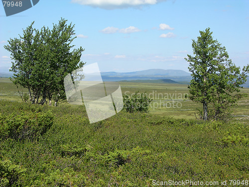 Image of Mountain hike