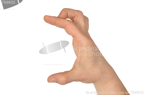 Image of Isolated Hand