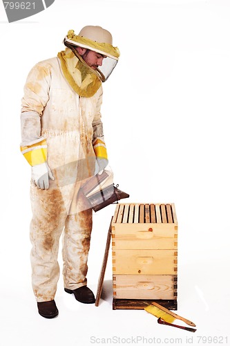 Image of Beekeeper Smoking A Hive