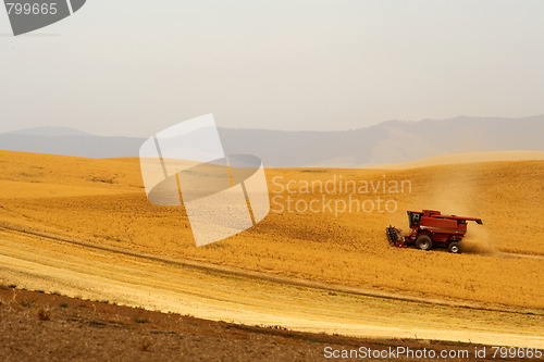 Image of Harvesting crops