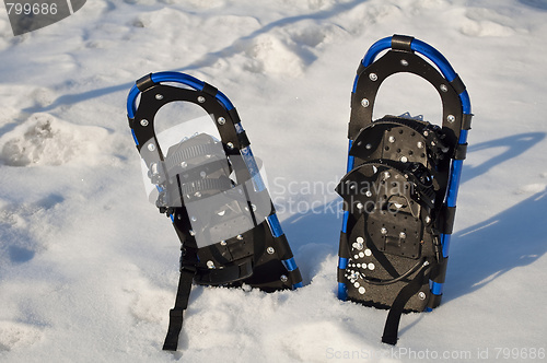Image of Snow rackets