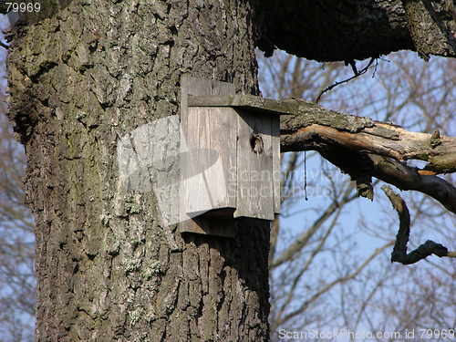 Image of Nesting box