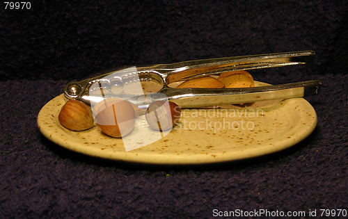 Image of Nut