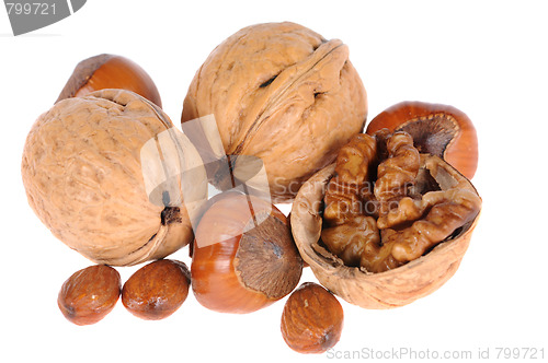 Image of hazelnuts and walnuts