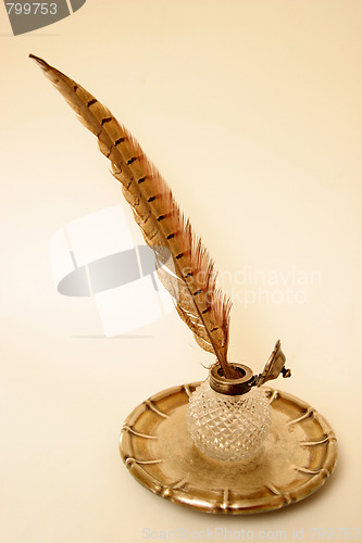 Image of feather 