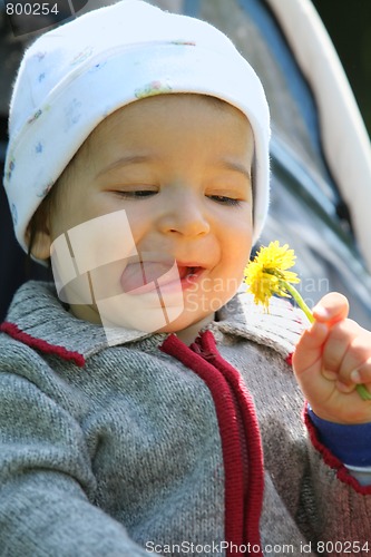 Image of baby and flower, soft focus