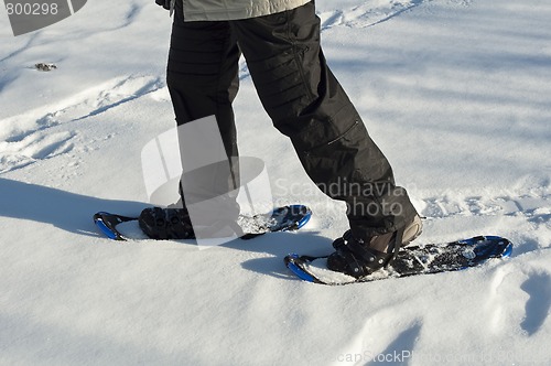 Image of Walking on the snow.