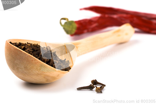 Image of spices