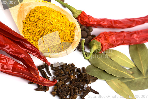 Image of spices