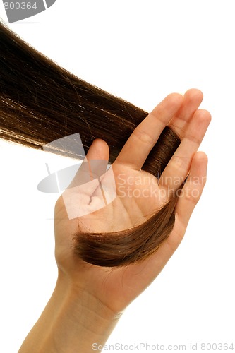 Image of Brown lock of hair