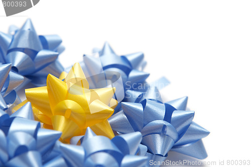 Image of Colorful bows