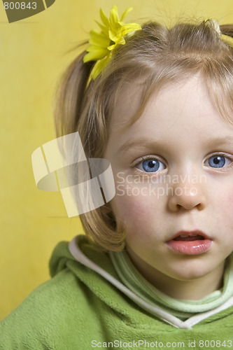 Image of Girl and yellow flowers