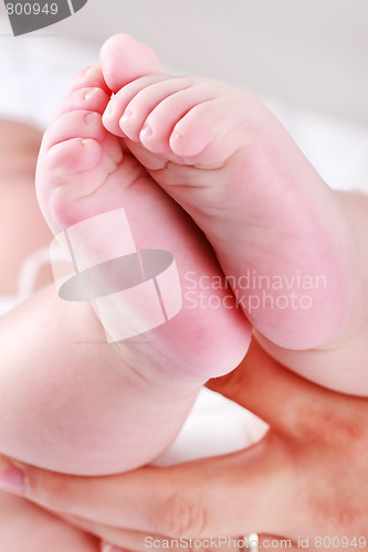 Image of Newborn